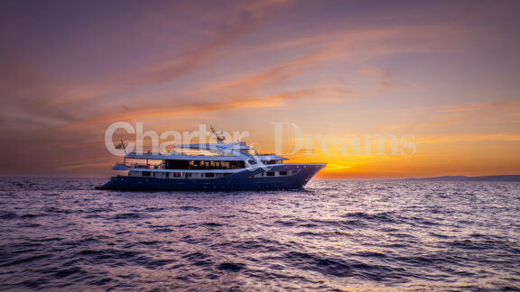 Bella gallery image