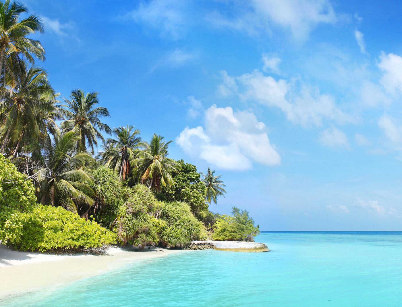 Coconut palms and sunny beach at Bandos island in Maldives.