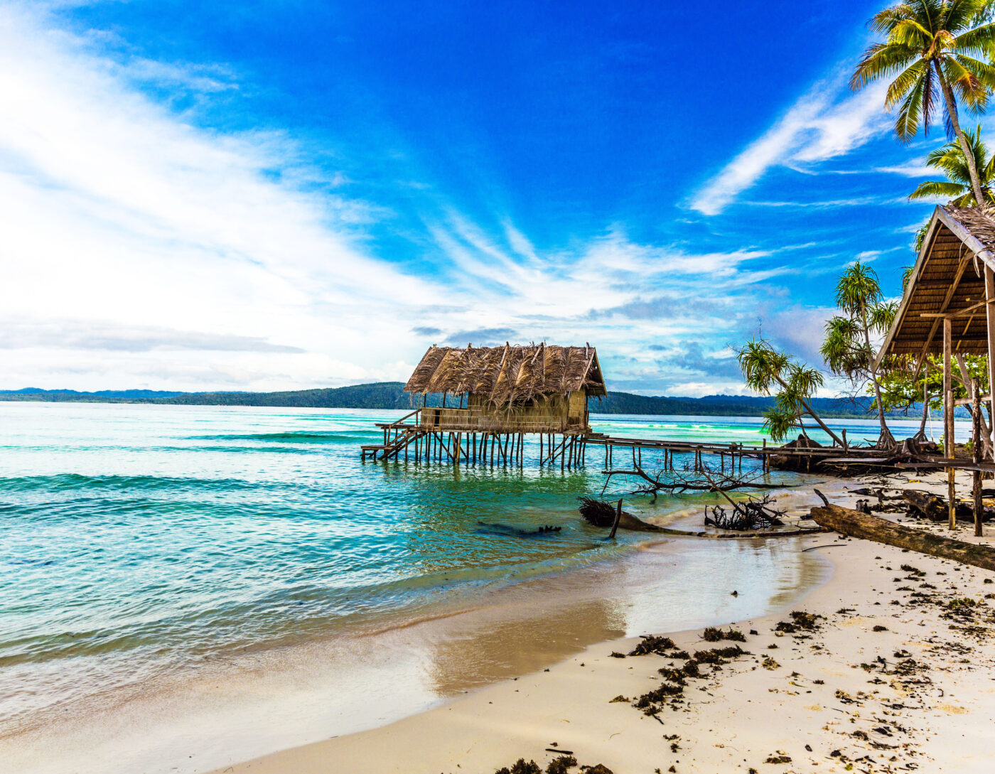 Palm trees and rustic huts on a pristine tropical beach.