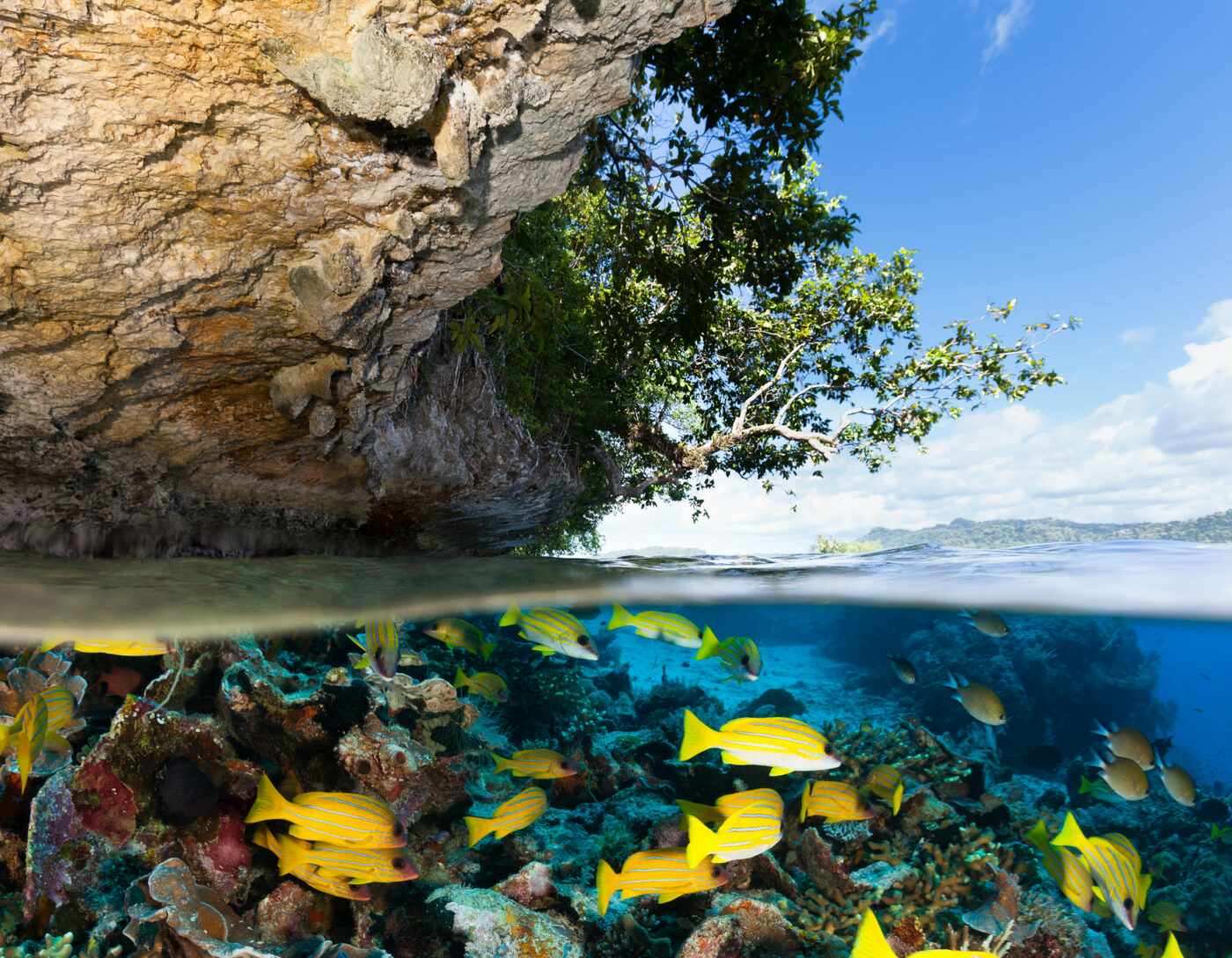 Tropical Island and Underwater Paradise for Divers, Raja Ampat, Indonesia