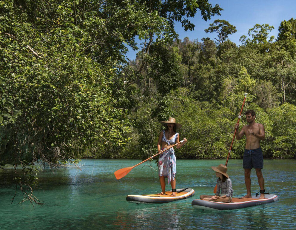 Family paddleboarding among mangroves in a serene tropical lagoon.