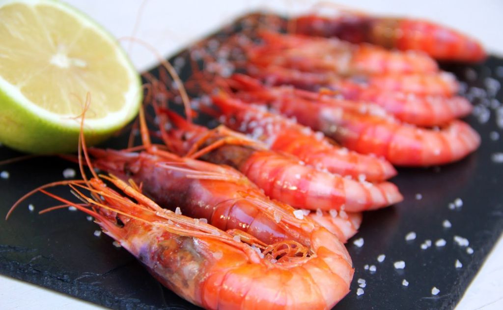 Famous red prawn from Palamós