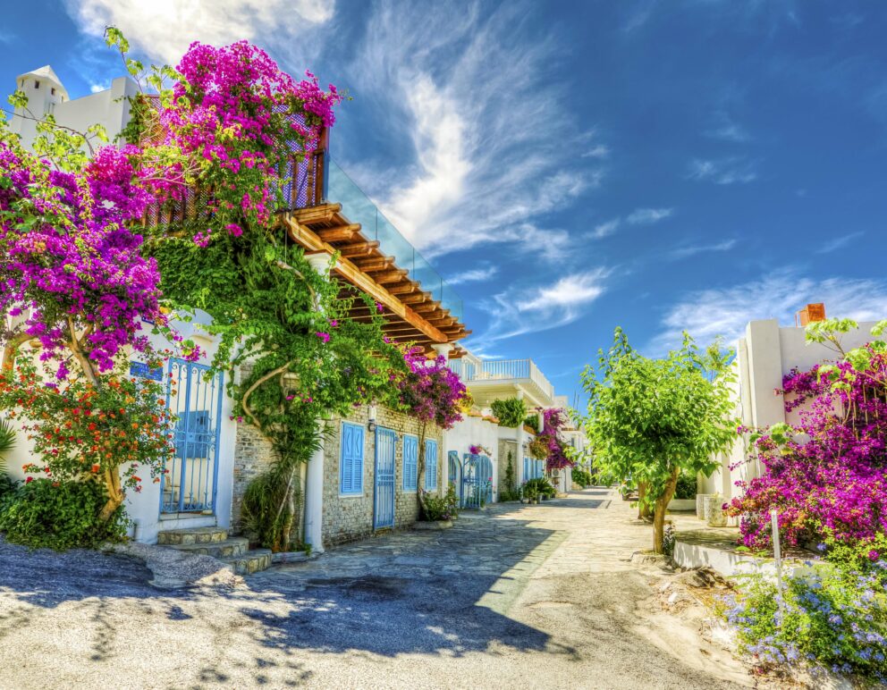 Typical traditional Aegean Bodrum houses with colorful flowers