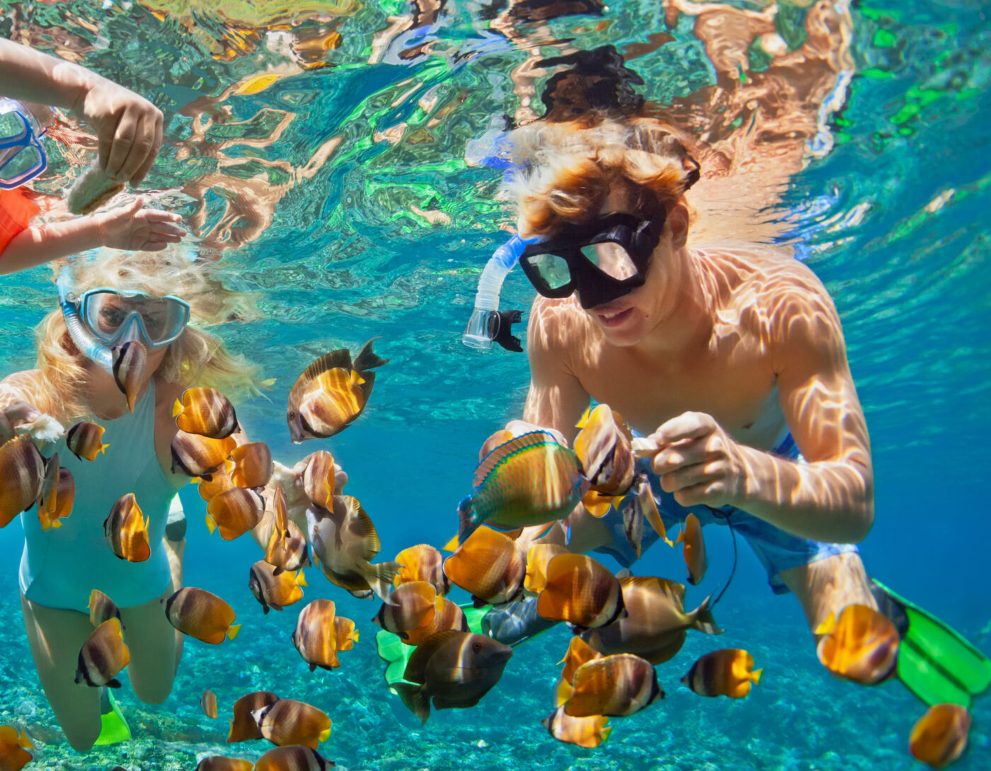 Colorful tropical fish underwater during snorkeling