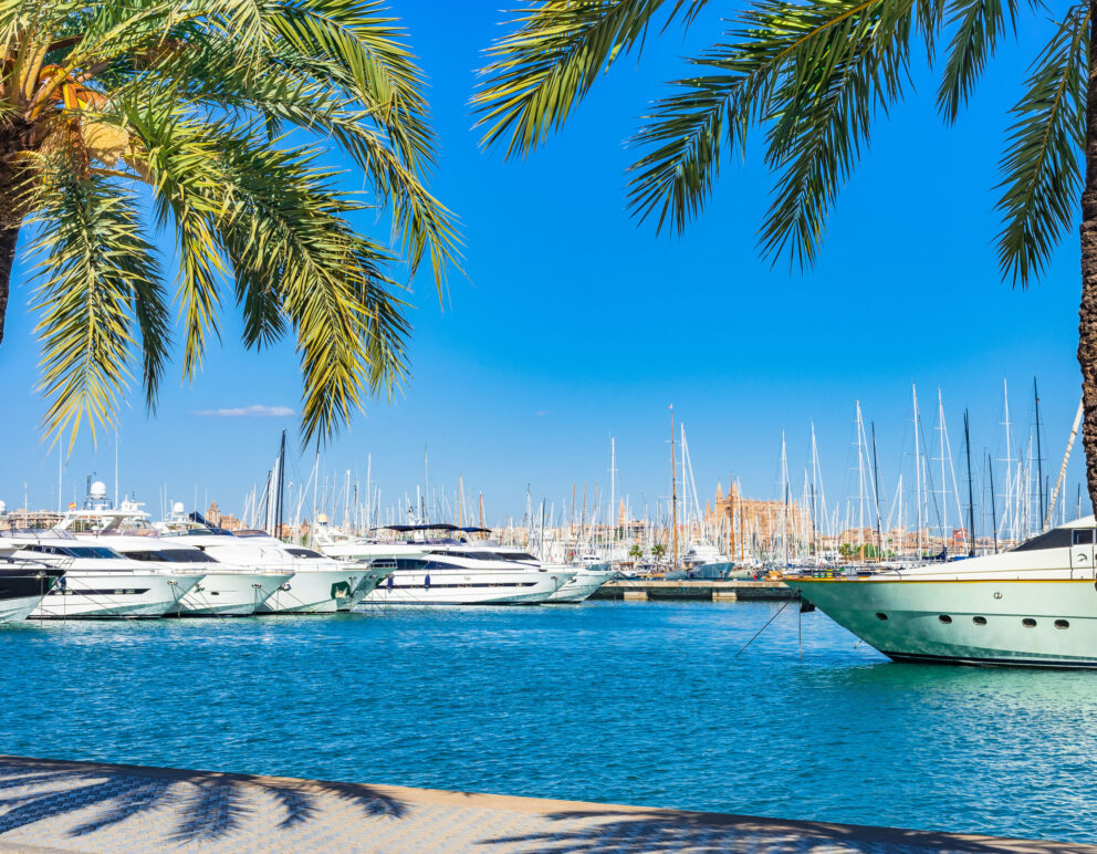 Luxury yachts at marina of Palma de Mallorca, Spain Mediterranean Sea, Balearic Islands