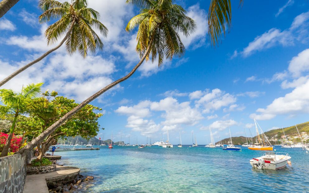 A tropical bay with clear blue water, several sailboats and yachts anchored, and palm trees in the foreground.