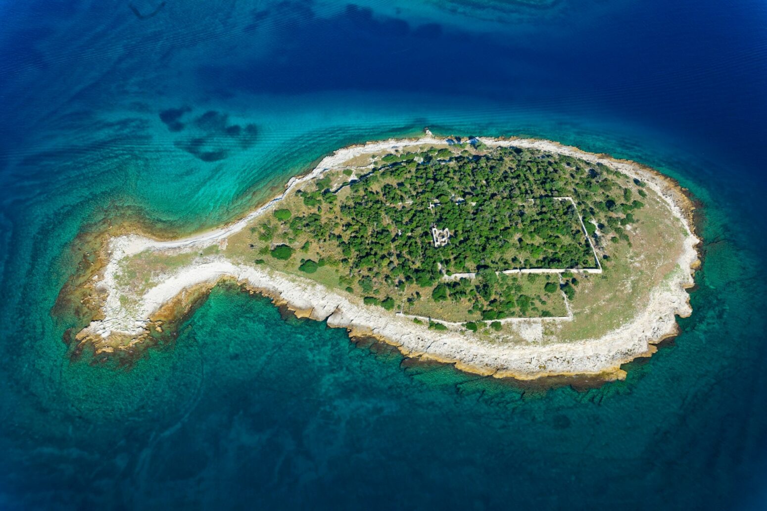 The image is of the fish-shaped island of Gaz in the Brijuni Islands, located in Istria, Croatia. The image shows an aerial view of a small island with a unique shape resembling a fish. The island is covered in green vegetation, with some white rocky areas and what appears to be the ruins of a structure in the center. It is surrounded by clear, turquoise water. The Brijuni Islands are an archipelago and a national park in the Adriatic Sea.