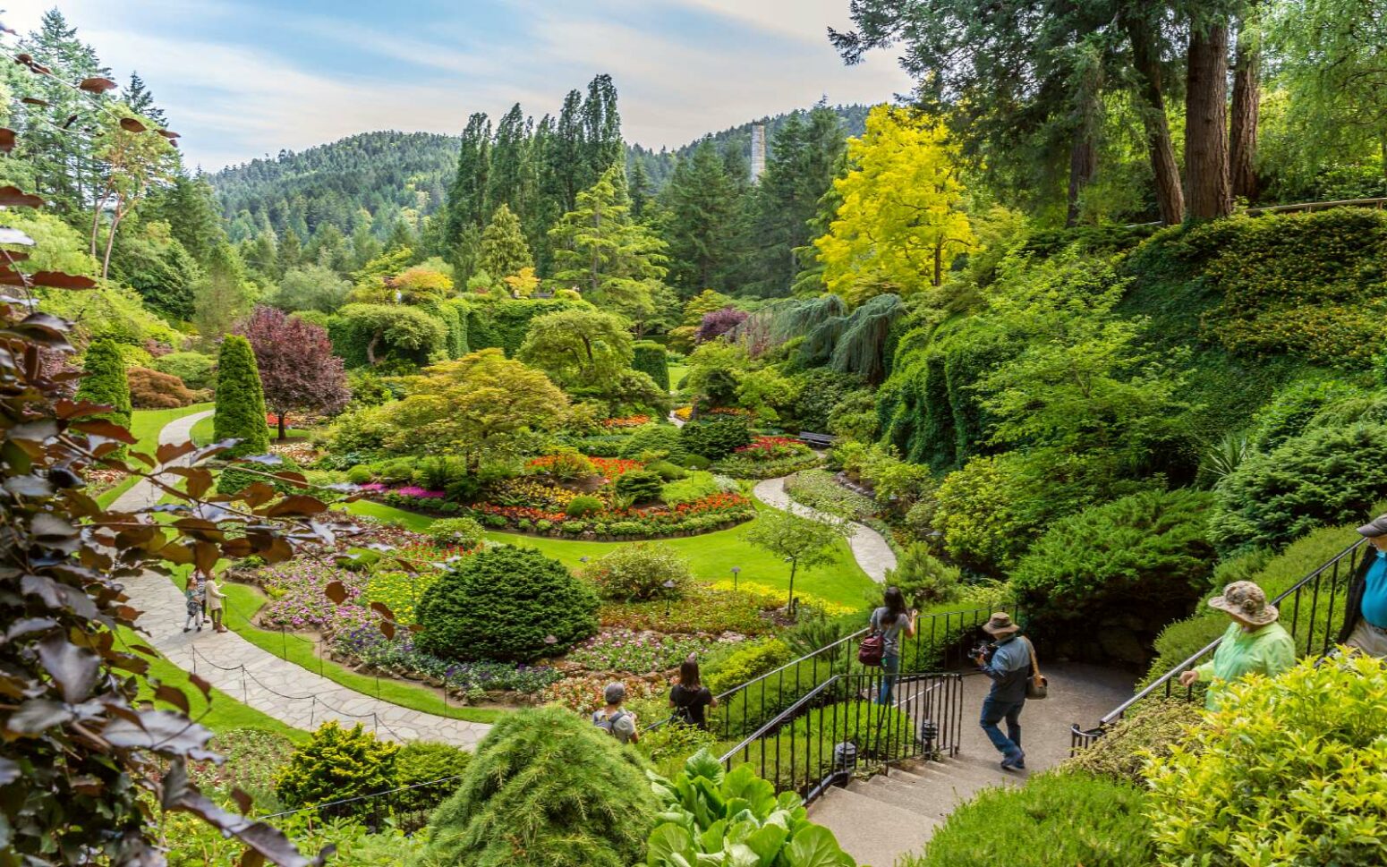 Visitors walking through the vibrant flowerbeds, trees, and landscaped pathways of Butchart Gardens in Victoria, British Columbia, on a sunny day.