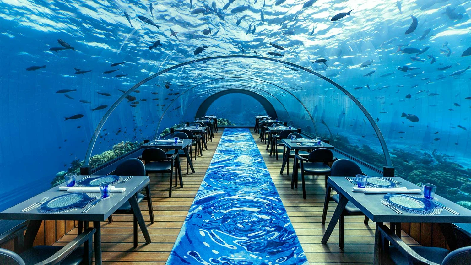 Underwater restaurant in the Maldives. The dining area is a long, curved glass tunnel with tables set up on either side of a central walkway. The walkway has a blue, water-patterned carpet. Through the glass ceiling and walls, numerous fish and a coral reef are visible, creating a unique dining experience surrounded by marine life.