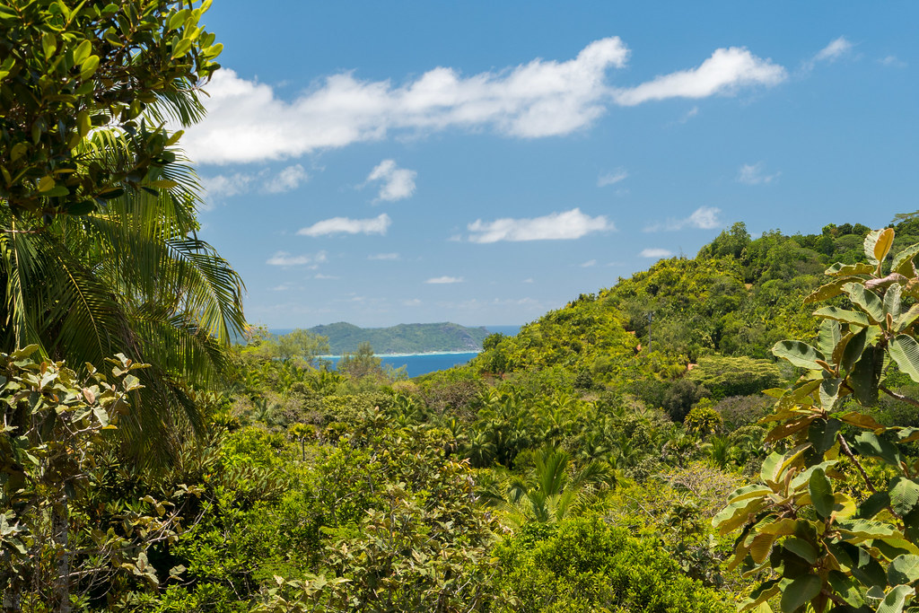 Lush, green, tropical landscape. In the foreground, there are dense green trees and plants. The middle ground shows a series of hills covered in vegetation, with a glimpse of the ocean and smaller islands in the distance. The sky is blue with scattered white clouds. The overall scene suggests a vibrant, natural environment
