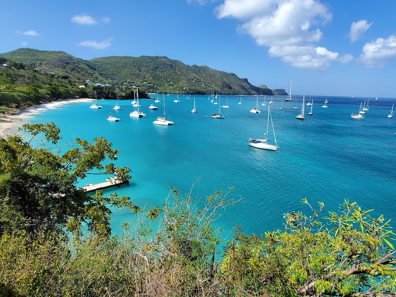 A scenic view of a tropical bay in Bequia, with turquoise water, a sandy beach, lush green hills, and numerous sailboats anchored in the water