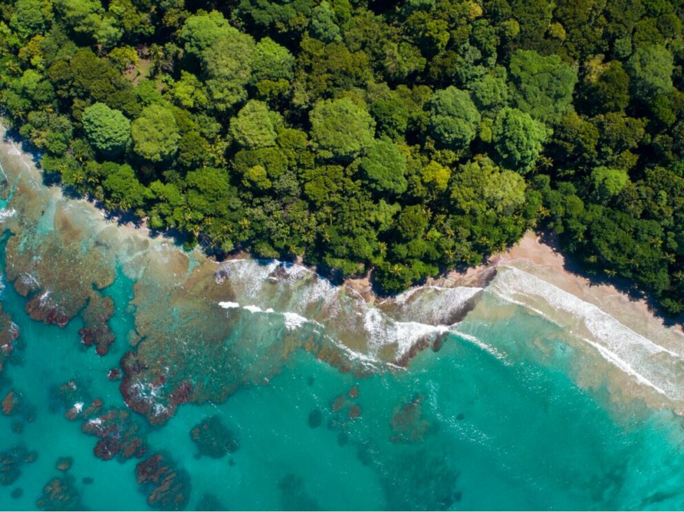 Aerial view of the lush rainforest meeting turquoise ocean waters along the coastline of Puerto Limón, Costa Rica.