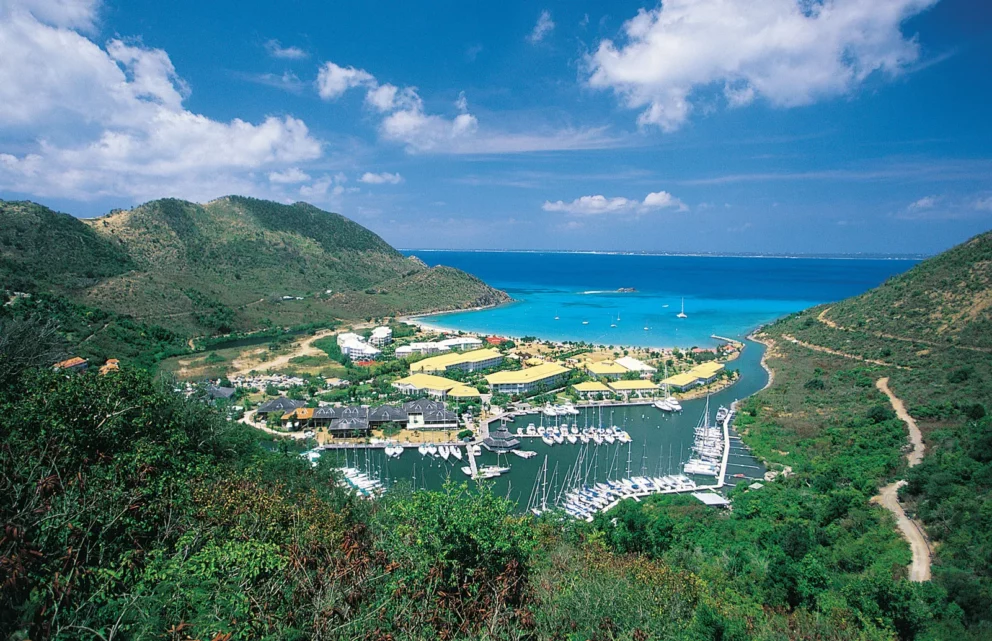 A marina full of boats nestled in a bay with yellow-roofed buildings and green hills.