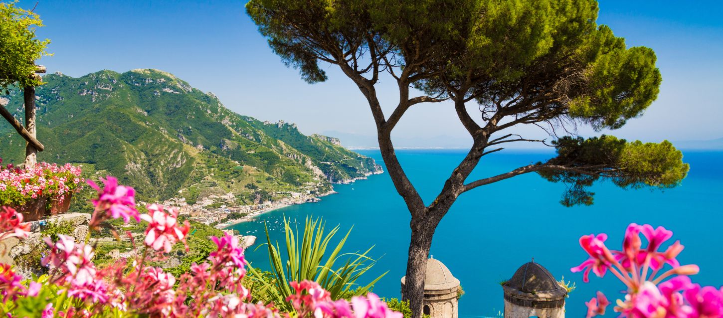 Scenic view with turquoise waters, steep green cliffs, and colorful flowers in the foreground framing a lone pine tree overlooking the coastline.