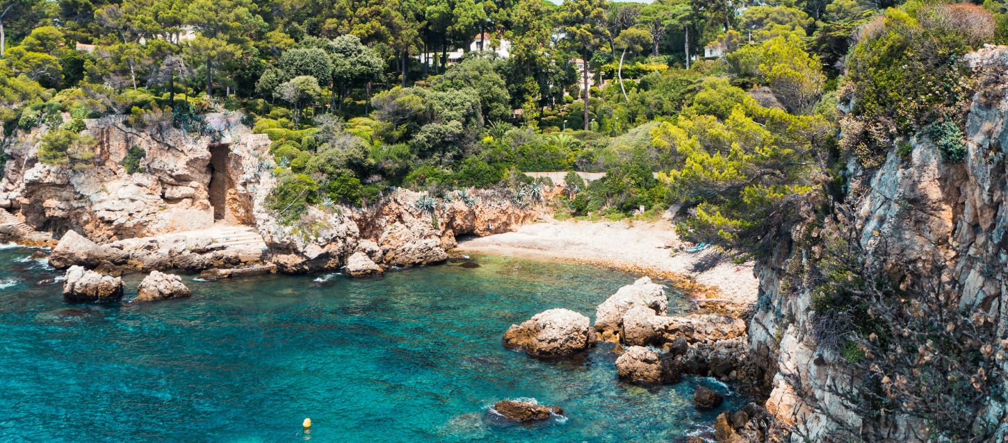 A panoramic view of the Baie des Milliardaires in Antibes, showing a calm turquoise sea bordered by rocky cliffs and lush green pine trees,clear blue sky, with sunlight reflecting on the water