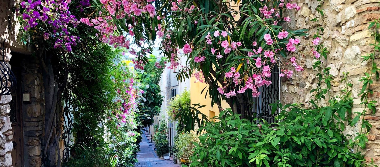 Stone façade of Antibes’ old town with greenery, pink flowers, and a charming rustic pedestrian street lined with plants.