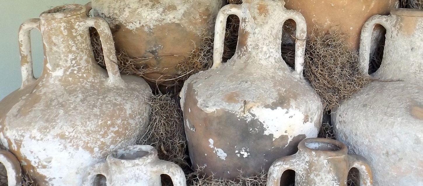A close-up shot of several weathered, ancient-looking amphorae of various sizes. The ceramic pots are covered in a white, crusty substance and are arranged among dry, moss-like material.
