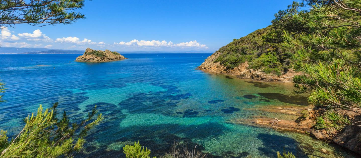 Wild rocky cove unfolds along the coastline, where windswept pine trees cling to the cliffs and cast patches of shade over the rugged terrain. The waters shimmer in multiple shades of turquoise and deep blue, patches of seagrass, sky stretches light and clear. Offshore, a small, untamed islet