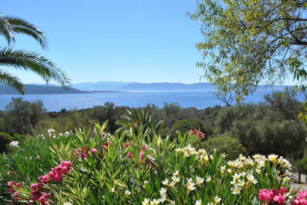 Alquiler de yate en Córcega