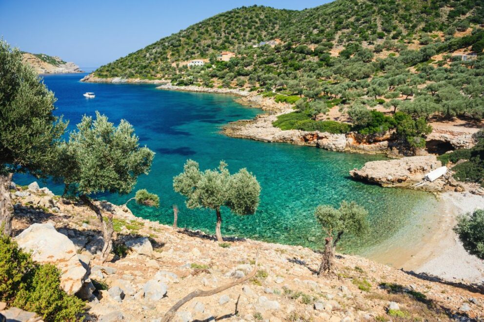 A scenic view of a secluded pebble beach with crystal clear turquoise water, surrounded by hills covered in green olive trees on the island of Alonissos, Greece.