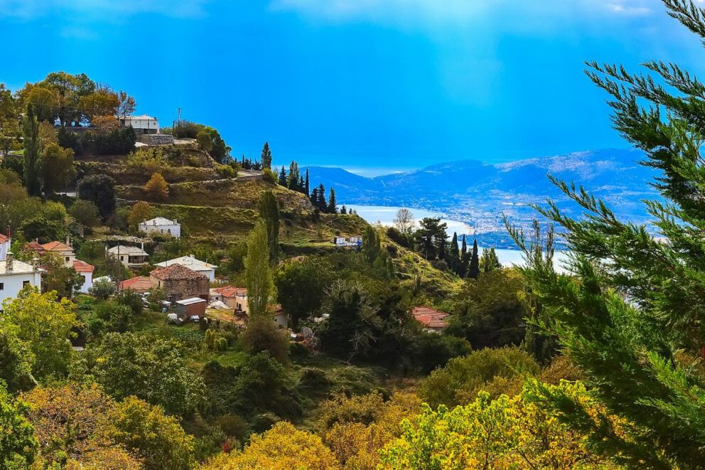 A scenic hillside village view with traditional white houses and lush green and autumnal trees in Volos, Greece.