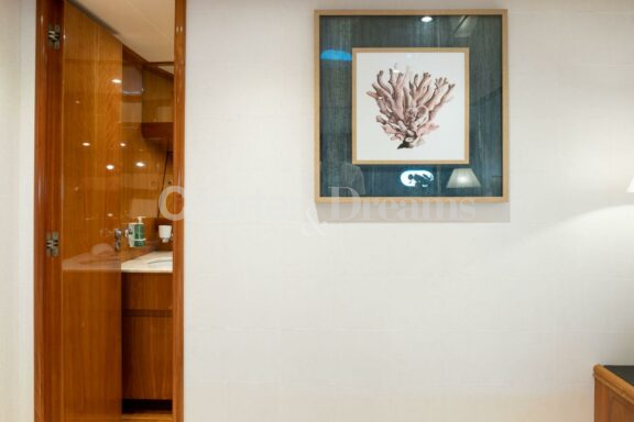 Daypa gallery image