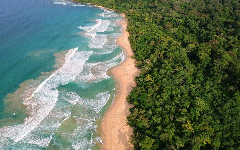 Aerial view of Red Frog Beach in Bocas del Toro, Panama, with golden sand, turquoise waves, and dense tropical rainforest along the coastline.