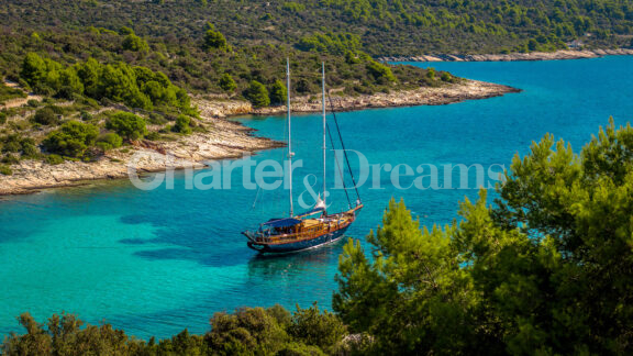 Smart Spirit gallery image