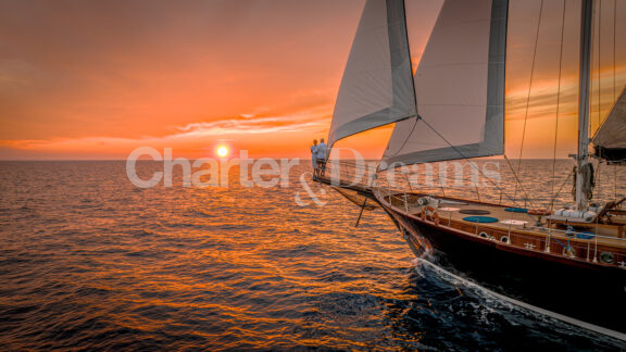 Smart Spirit gallery image