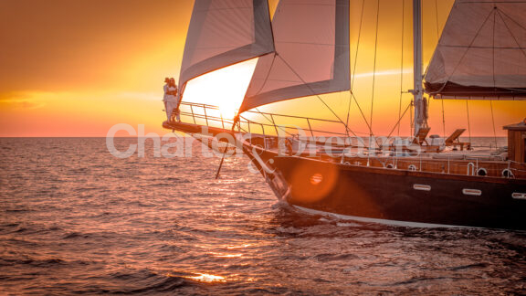 Smart Spirit gallery image
