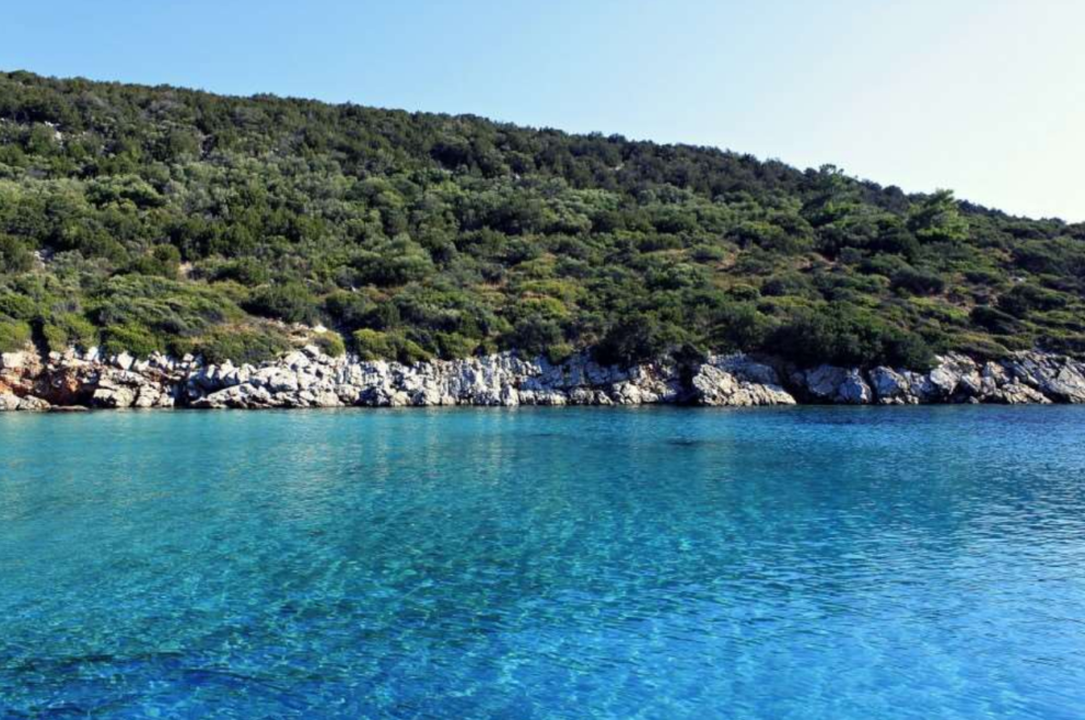 A photograph of a clear, turquoise-blue sea with a rocky coastline and a lush, green, tree-covered hill in the background.