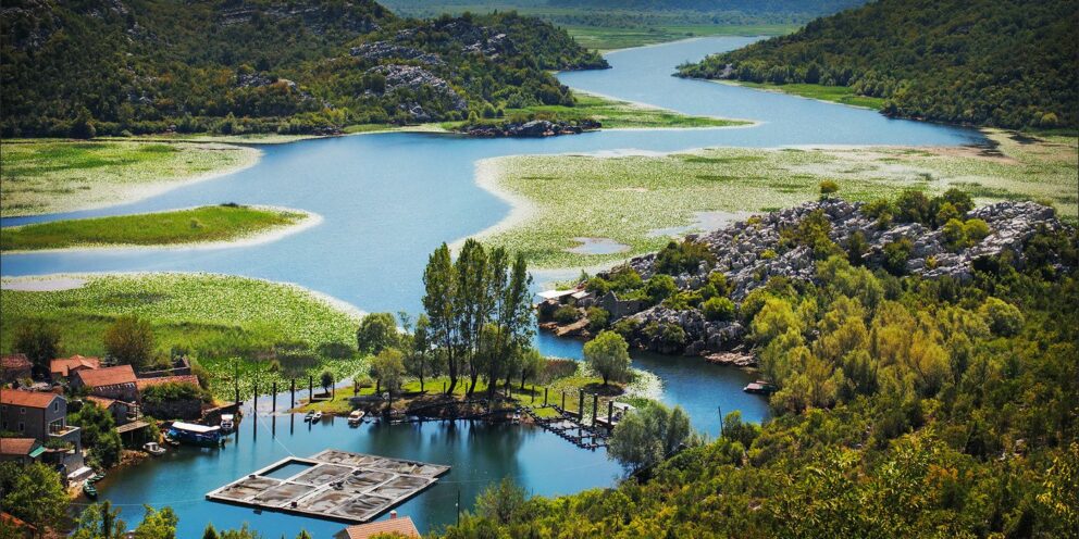 Scenic view of Lake Skadar, specifically the Karuč area in Montenegro. The picture captures a wide, winding river surrounded by lush green hills and vegetation. In the foreground, there is a small village with houses and a dock, and a floating structure on the water, possibly for aquaculture. The water is a clear blue, reflecting the sky, and is partially covered by lily pads and other aquatic plants. The landscape is peaceful and natural, with a mix of rocky terrain and dense forests.
