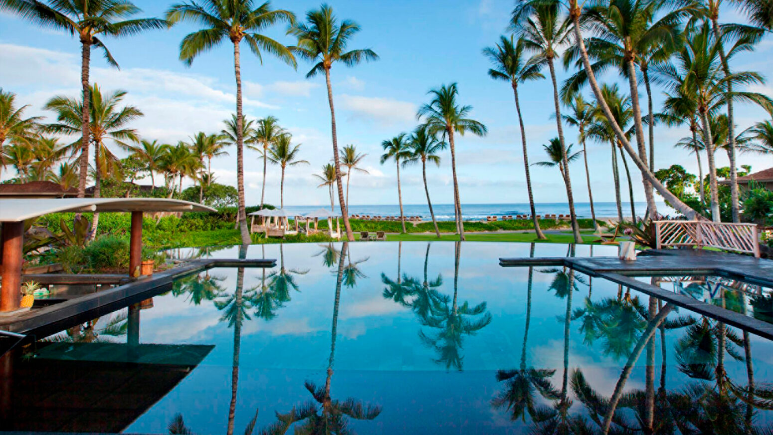 A photo of a line of palm trees in front of a snow-capped mountain, Mauna Kea, under a clear blue sky. The ground in the foreground is covered in dark volcanic rock.