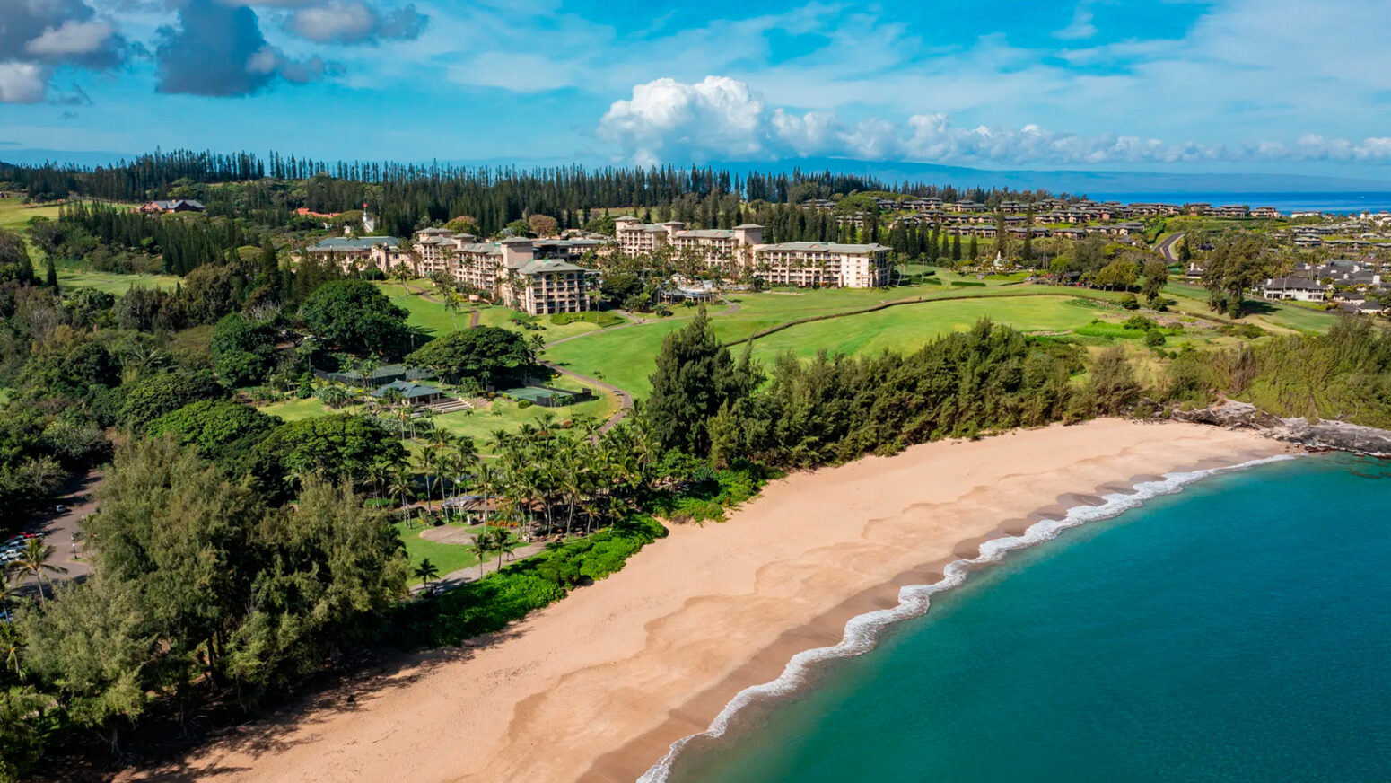 A photo of a line of palm trees in front of a snow-capped mountain, Mauna Kea, under a clear blue sky. The ground in the foreground is covered in dark volcanic rock.