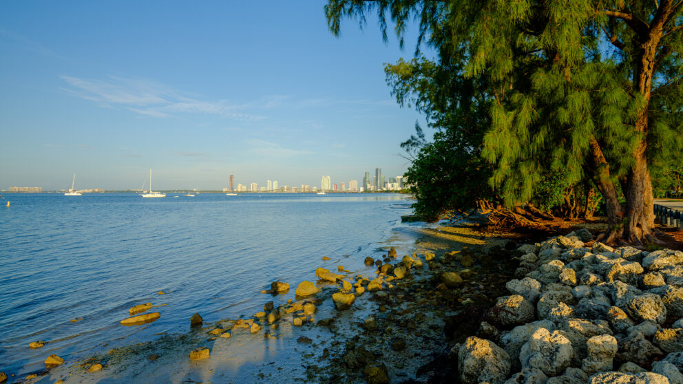 A wide-angle, eye-level shot of a beach with a calm bay and a city skyline in the distance. The foreground has a rocky shoreline with green trees on the right side. The water is calm with a few boats visible. The sky is bright blue with a few scattered clouds.