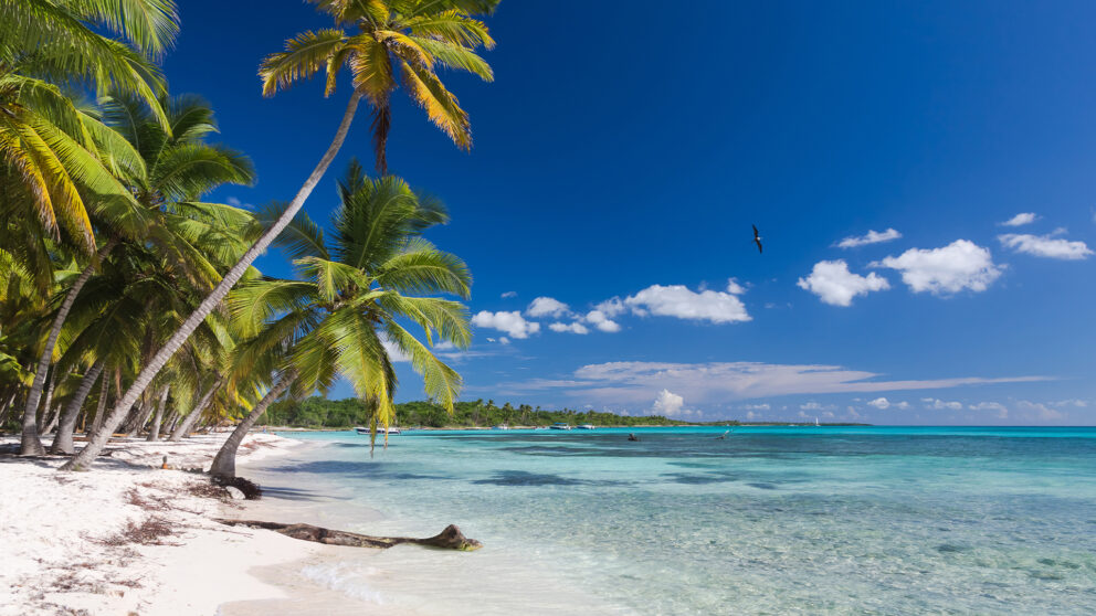 Tropical beach with white sand, turquoise water, and tall palm trees leaning toward the sea under a bright blue sky with scattered clouds.