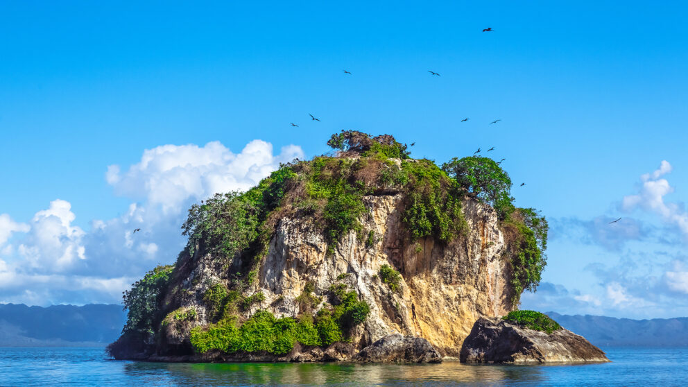 Small rocky island covered with green vegetation and surrounded by calm blue water under a bright sky with scattered clouds.