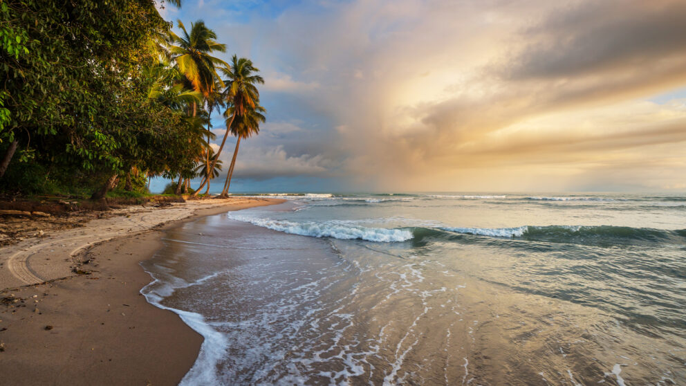 Tropical beach with gentle waves, golden sand, and palm trees at sunset under a colorful sky.
