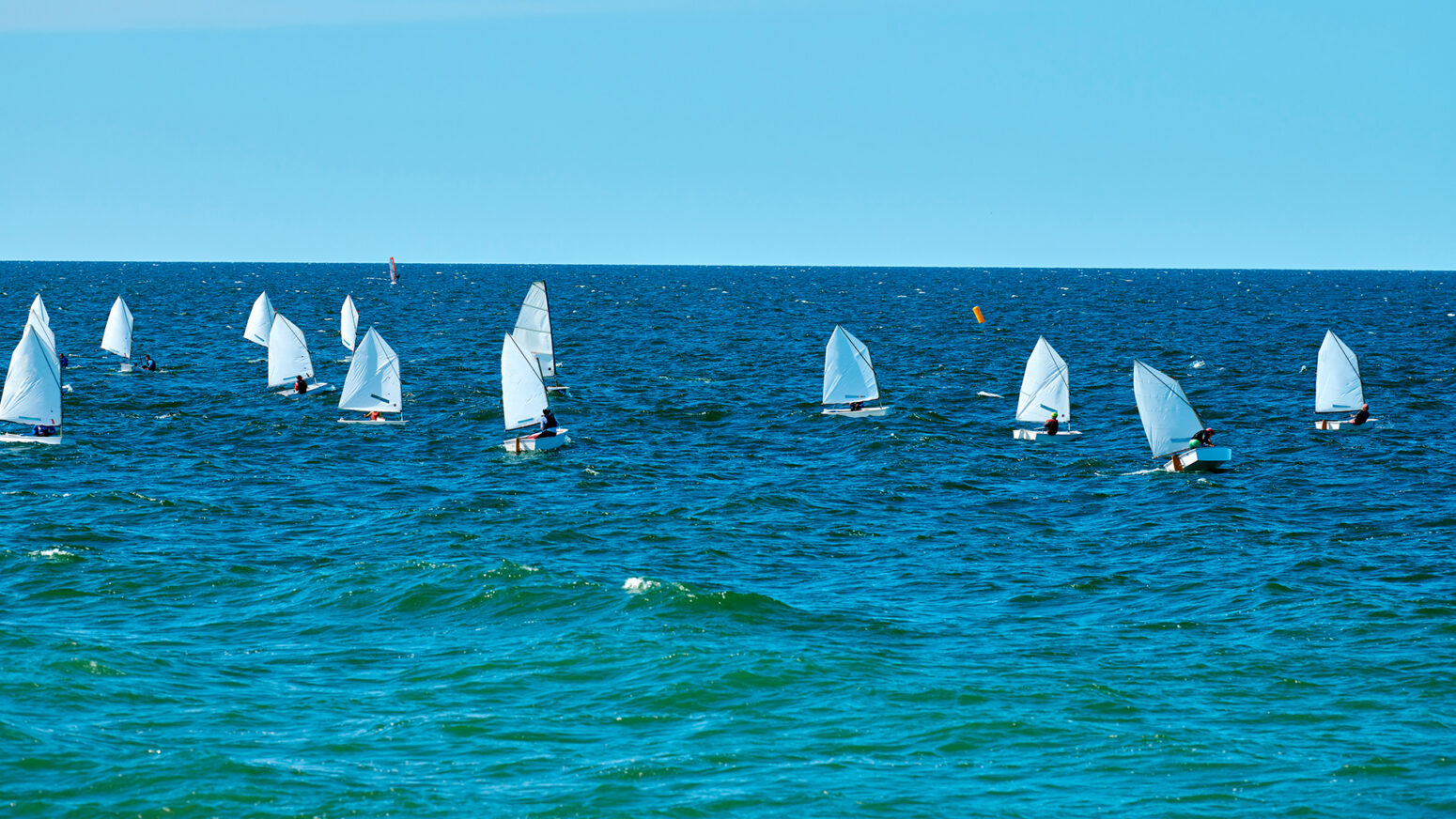 A fleet of small white-sailed dinghies racing on blue water under a clear sky