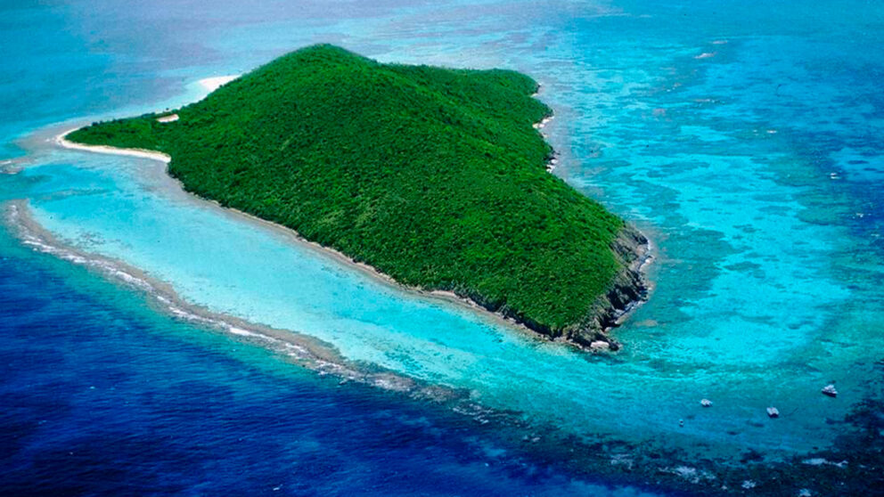 An aerial view of Buck Island, a lush green, uninhabited island surrounded by a vibrant turquoise and deep blue coral reef system and clear Caribbean water.